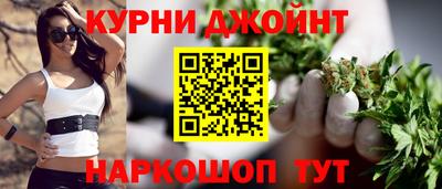 гашик Камышлов