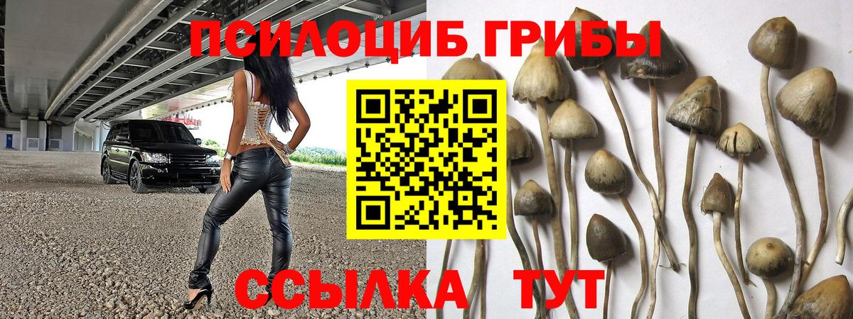 Лениногорск  Псилоцибиновые грибы Magic Shrooms  Вход с VPN 
